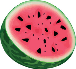 Vector watermelon. Fruit illustration . Healthy food design