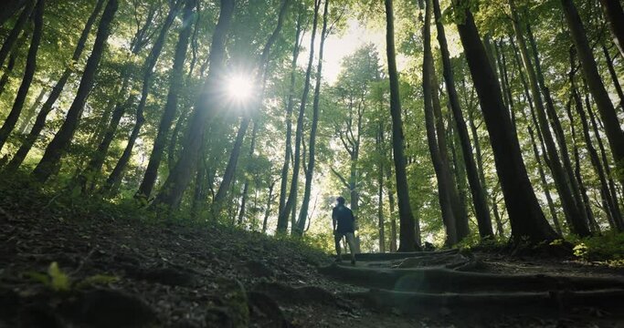 Hiker man enjoying in nature walking up a hill on forest path surrounded by trees full of leaves and roots on the ground at summertime with sun on the sky and rays penetrating thru canopy in Slovenia