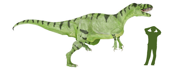 Obraz premium メガロサウルスは発見の歴史は古く1824年に遡る。恐竜研究史の最初期に発見された獣脚類である。学名はただ、『大きいトカゲ』という極めてデータの乏しい時代を思わせる名前である。 わずかにイグアノドンの研究が先行していた時代。中世ジュラ紀のヨーロッパ、北アメリカ、アジアなど生息域は広範囲であり、二足歩行の肉食恐竜として登場した大型の肉食恐竜である。