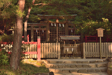 autumn in Omiwa-jinja shrine
