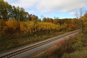 Rail Road Tracks