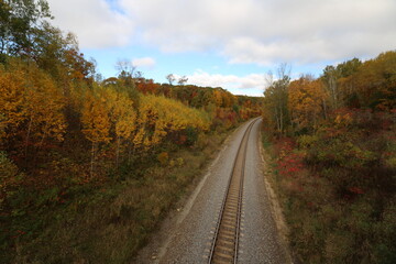 Fototapeta premium railroad in autumn forest