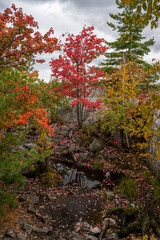 Beautiful Killarney provincial park in Canda