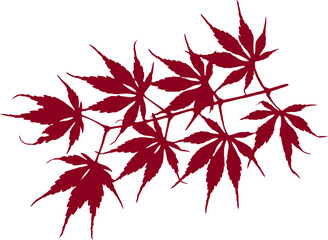 Red Japanese maple leaves, autumn or fall leaves in seasonal thanksgiving or halloween png design element, tree branch or stem vector, nature illustration
