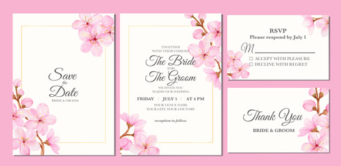 Fototapeta na wymiar Manual painted of sakura flower or cherry blossom watercolor as wedding invitation.