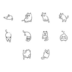 cat icon set