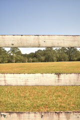 Looking through white fence to the pasture