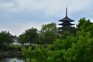 the five storied pagoda in the park