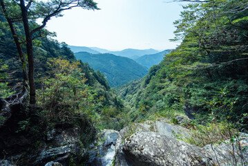 Fototapeta na wymiar 高知県いの町程野の9月頃の景色