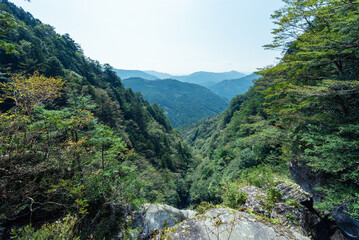 高知県いの町程野の9月頃の景色