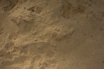 fine grained sand as a background full texture