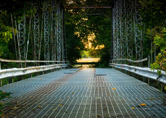 Overgrown old steel automotive bridge.