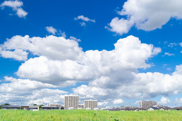 青空と住宅街