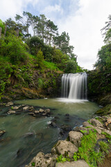 Fototapeta na wymiar Beautiful Oakley Creek waterfall in Auckland, New Zealand.