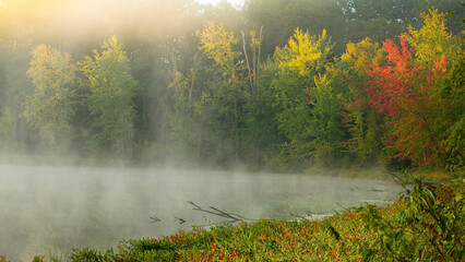 Foggy Pond with Fall Showing Her True Color
