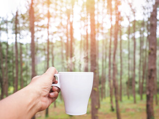 hand holding white cup of hot coffee over blurry pine trees background.