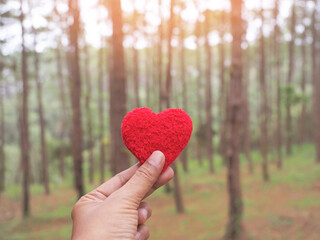 Hands holding red heart shaped over blurred pine trees background.