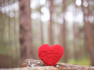 Red heart shaped over blurred pine trees background.