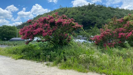 Obraz premium Unjusa, known as the temple of residing clouds or the temple of one thousand stone Buddhas and one thousand stone pagodas in South Korea, in the summer of 2022. 