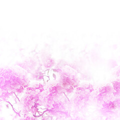 Floral backdrop of pink flowers over white background.