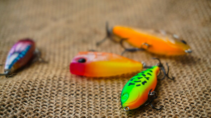 Artificial lure made from plastic for fishing by casting. Casting lure with hook on the burlap....