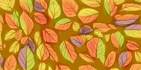 Fototapeta na wymiar Autumn background of leaves, vector design
