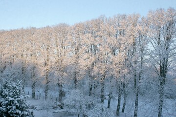 Verschneite Winterlandschaft