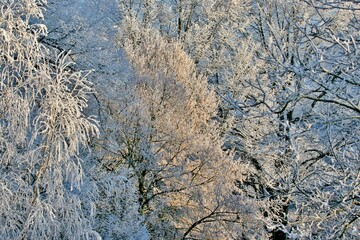 Verschneite Winterlandschaft