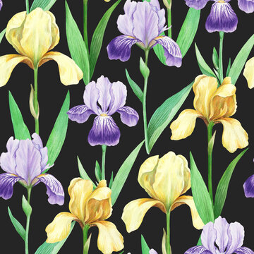 Seamless pattern with realistic detailed iris flowers in vintage retro style for decor, scrapbook and design. © Yuliya