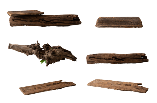 Set of bark tree and branch abstract podium display products minimal concept, Isolated on white background