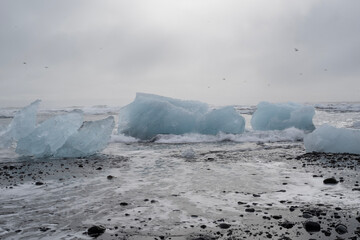 iceberg in polar regions