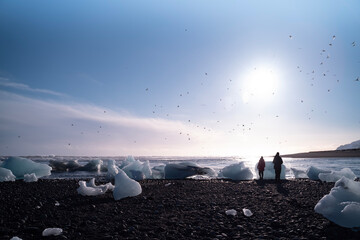panorama of the city