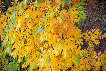 objets de la ciudad de formas abtractas para fondos