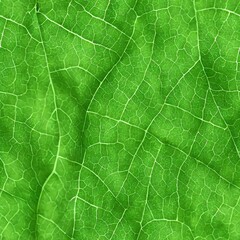 Green leafy background, can be tiled