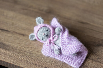 Fototapeta na wymiar knitted bunnie on table