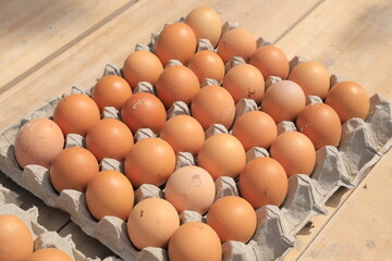 Egg, Chicken Egg.Eggs in cardboard box on cloth background.
