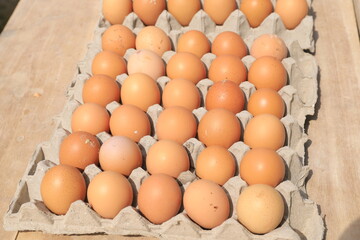 Egg, Chicken Egg.Eggs in cardboard box on cloth background.