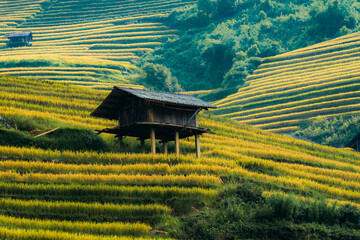 The most beautiful rice fields in Vietnam