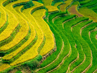 The most beautiful rice fields in Vietnam