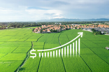 Land value in aerial view consist of landscape of green field or agriculture farm, house building,...