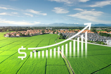 Land value in aerial view consist of landscape of green field or agriculture farm, house building, growth graph of rate market price for agent, realtor, investor to sale, buy, mortgage and investment.
