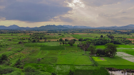 Fototapeta na wymiar Aerial view of cultivated green agricultural land in Indian village side