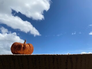 かぼちゃのオブジェと新鮮な青い空