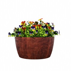decorative flower in a pot isolated on white background, 3D illustration, cg render