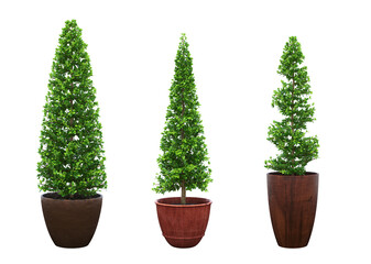 decorative flower in a pot isolated on white background, 3D illustration, cg render