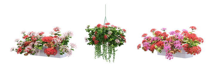 decorative flower in a pot isolated on white background, 3D illustration, cg render