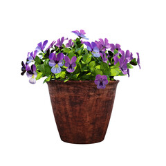 decorative flower in a pot isolate on a transparent background, 3D illustration, cg render