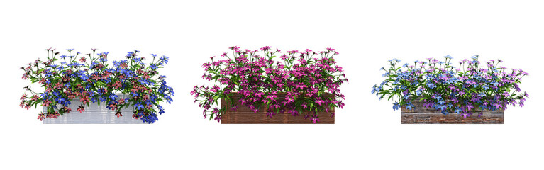 decorative flower in a pot isolate on a transparent background, 3D illustration, cg render