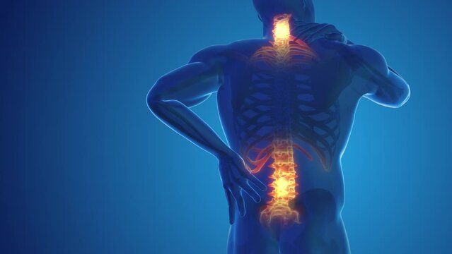 Pain in the back and neck joint