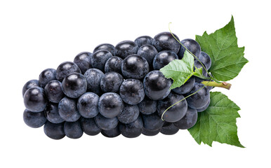 Purple grape on white  background, Kyoho Grape with leaves on white PNG file.